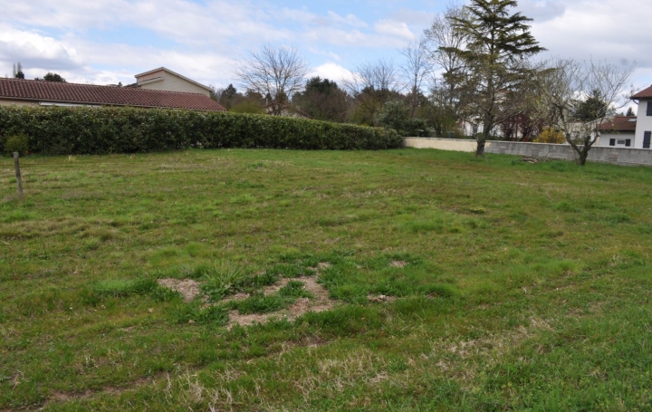 Terrain MONTMERLE-SUR-SAONE (01090)   200 000 € 