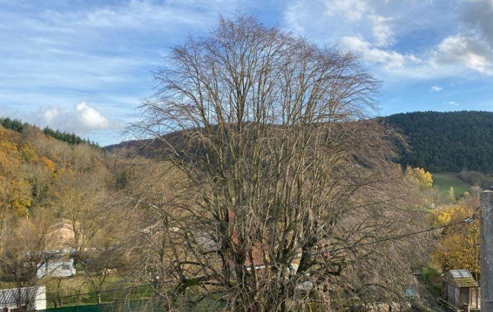 Maison de village SAUCLIERES (12230)  110 m2 160 000 € 