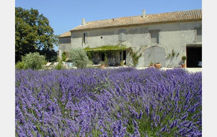 Réseau Immo-diffusion : Mas  LAPALUD  200 m2 425 000 € 