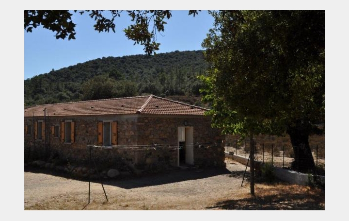 Réseau Immo-diffusion : Maison  MOLTIFAO  80 m2 188 000 € 