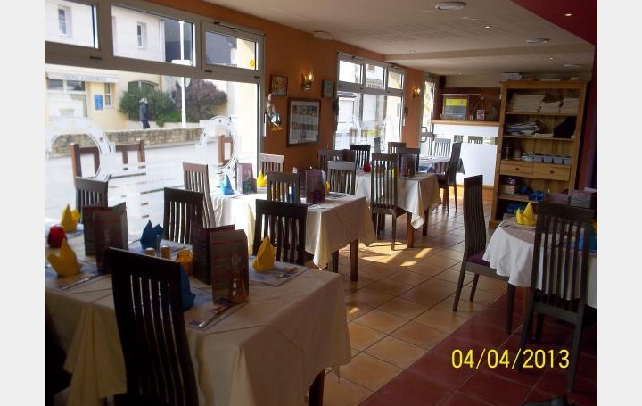 Réseau Immo-diffusion : Activité commerciale  LOCTUDY   295 800 € 