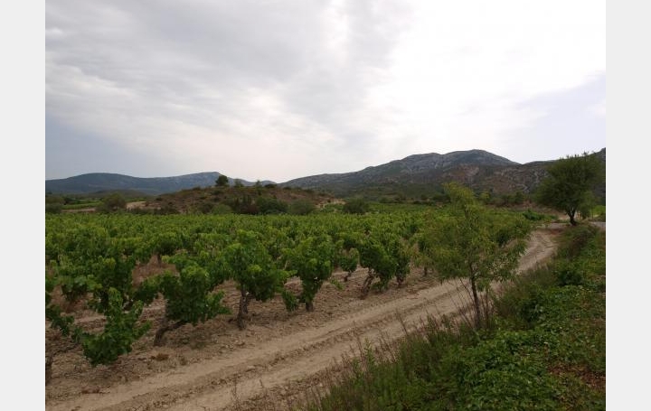 Réseau Immo-diffusion : Terrain  EMBRES-ET-CASTELMAURE   99 000 € 