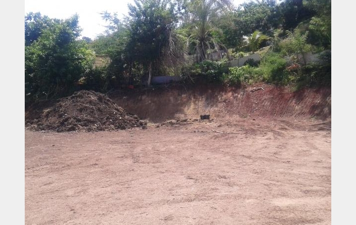 Réseau Immo-diffusion : Terrain  SAINTE-ANNE   103 000 € 