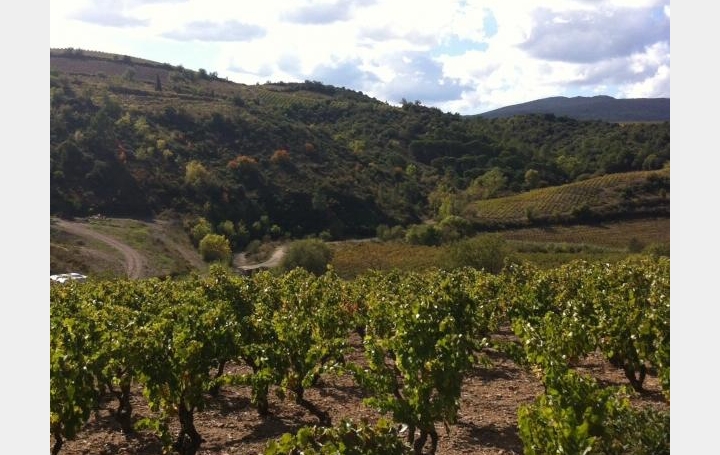 Réseau Immo-diffusion : Terrain  VILLENEUVE-LES-CORBIERES   189 000 € 