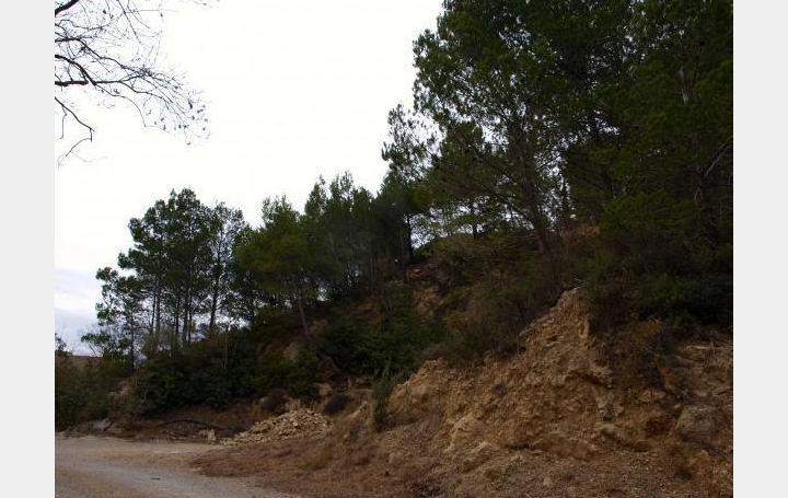 Terrain VILLESEQUE-DES-CORBIERES (11360)   39 000 € 