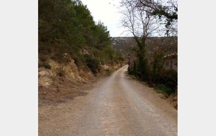 Terrain VILLESEQUE-DES-CORBIERES (11360)   39 000 € 