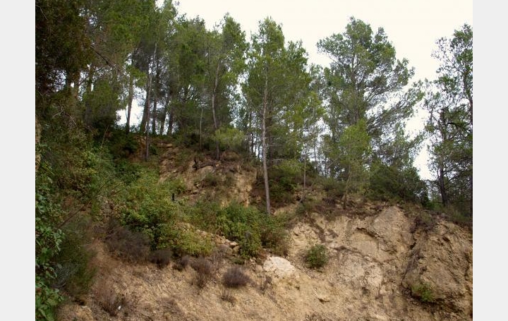Terrain VILLESEQUE-DES-CORBIERES (11360)   39 000 € 