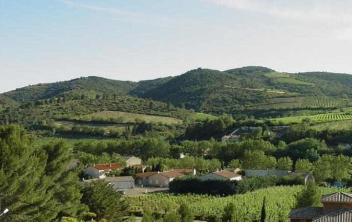 Terrain CASCASTEL-DES-CORBIERES (11360)   65 000 € 