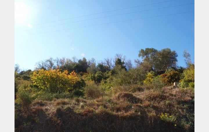 Terrain CASCASTEL-DES-CORBIERES (11360)   65 000 € 