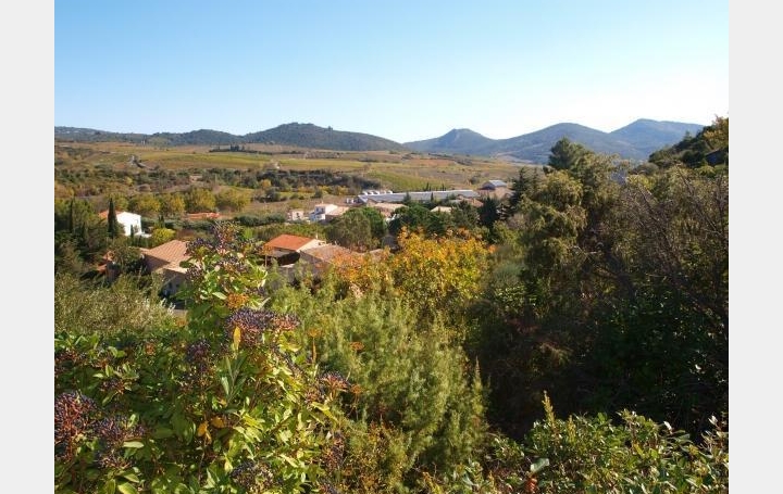 Terrain CASCASTEL-DES-CORBIERES (11360)   65 000 € 