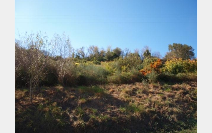 Terrain CASCASTEL-DES-CORBIERES (11360)   65 000 € 