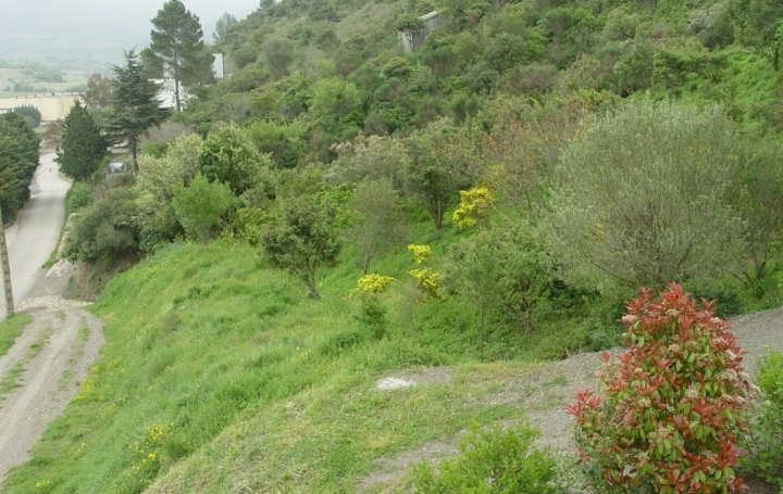 Terrain CASCASTEL-DES-CORBIERES (11360)   65 000 € 