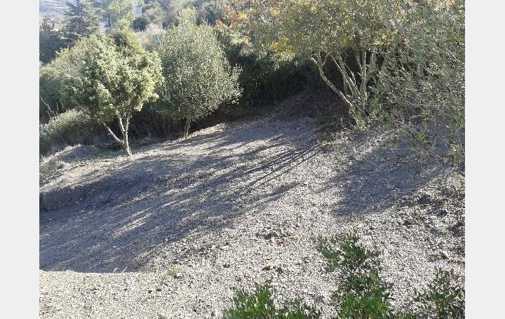 Terrain CASCASTEL-DES-CORBIERES (11360)   65 000 € 