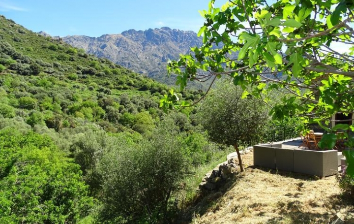 Réseau Immo-diffusion : Maison de village  MONTEGROSSO  50 m2 208 000 € 