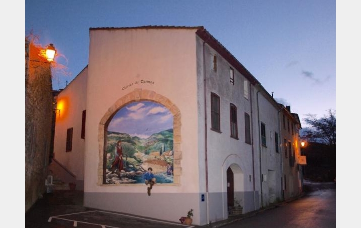 Réseau Immo-diffusion : Maison  PAZIOLS  180 m2 157 000 € 