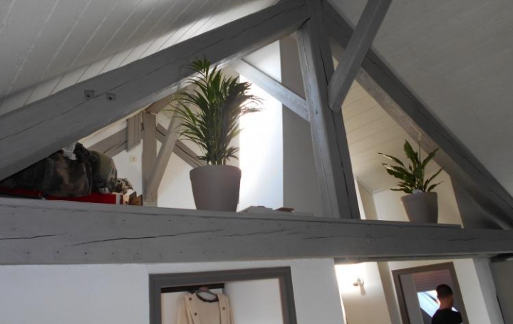 Réseau Immo-diffusion : Appartement P1  BELFORT  48 m2 57 000 € 