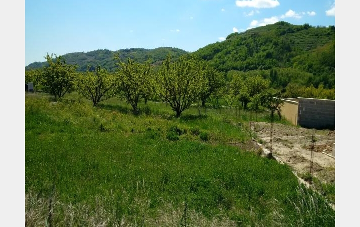 Réseau Immo-diffusion : Terrain  SARRAS  84 m2 77 200 € 