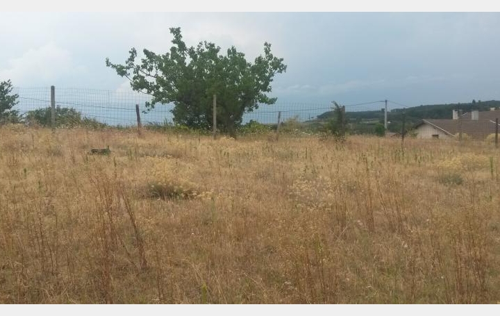 Réseau Immo-diffusion : Terrain  MONTCHENU  85 m2 50 500 € 