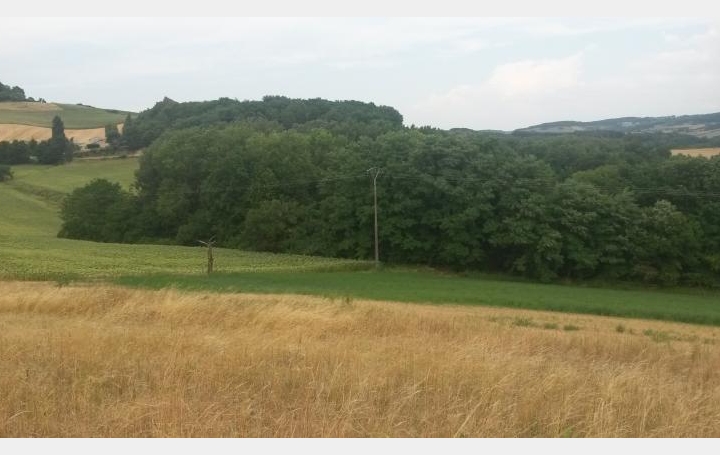 Réseau Immo-diffusion : Terrain  MONTCHENU  85 m2 50 500 € 