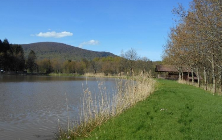 Réseau Immo-diffusion : Terrain  AUXELLES-BAS   78 000 € 