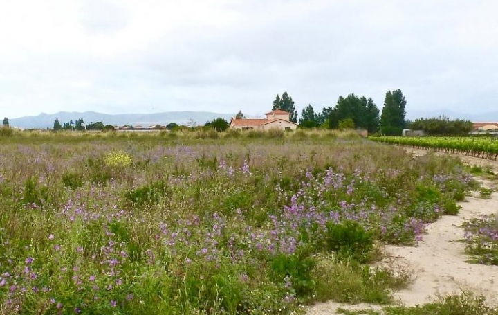 Réseau Immo-diffusion : Terrain  SAINT-HIPPOLYTE   40 000 € 