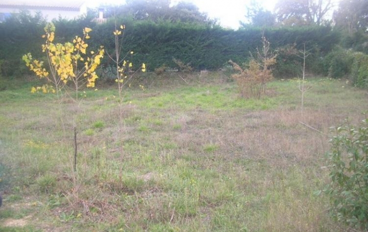 Réseau Immo-diffusion : Terrain  BOUCOIRAN-ET-NOZIERES   82 000 € 