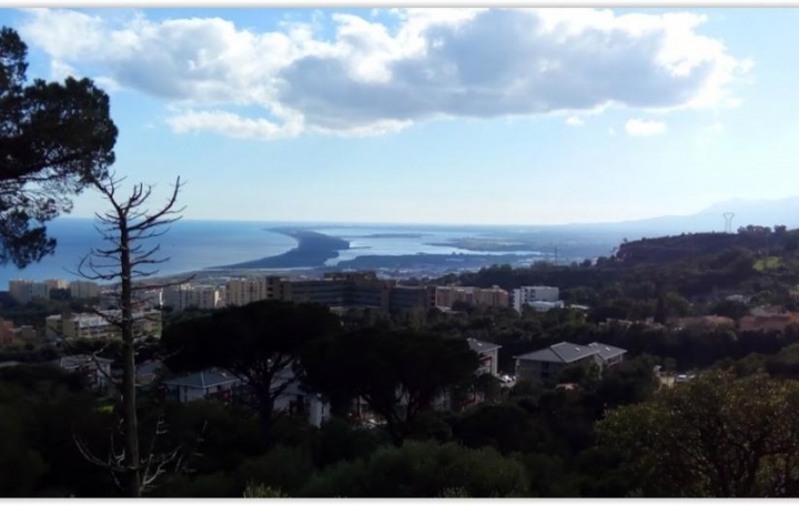Réseau Immo-diffusion : Terrain  BASTIA   210 000 € 