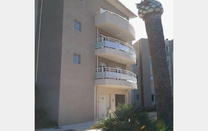 Réseau Immo-diffusion : Studio  FURIANI  42 m2 110 250 € 