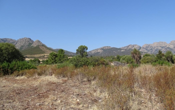 Réseau Immo-diffusion : Terrain  MONCALE   151 200 € 