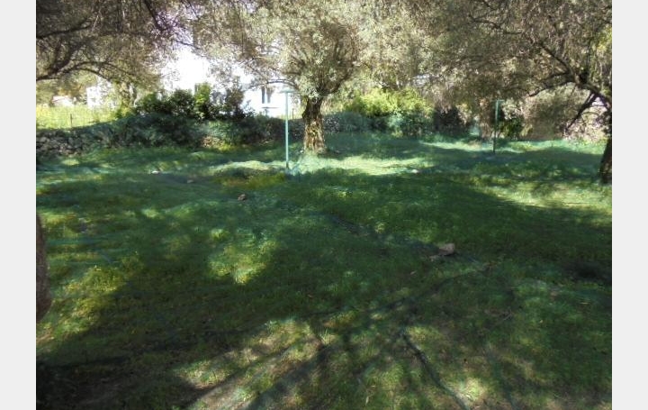 Réseau Immo-diffusion : Terrain  ZILIA   138 500 € 