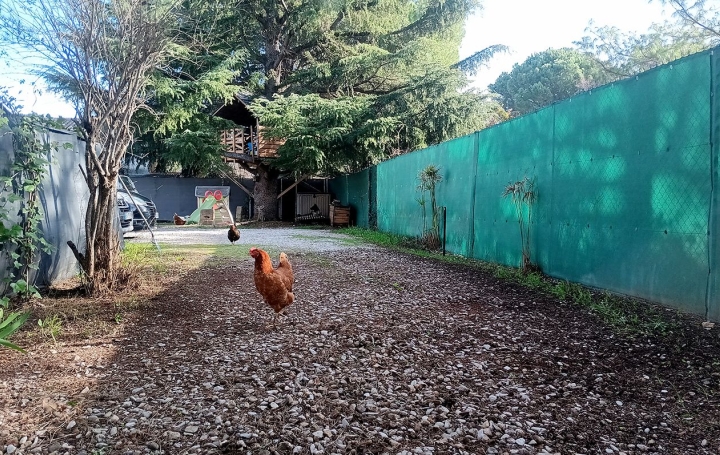 Maison SAINT-ANDRE-DE-SANGONIS (34725)  81 m2 283 500 € 