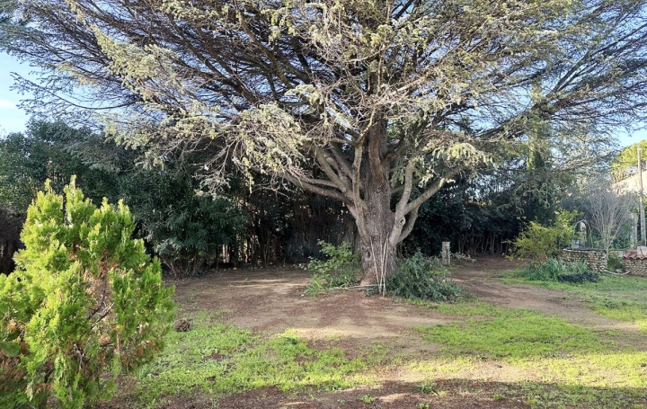 Villa SAINT-ANDRE-DE-SANGONIS (34725)  92 m2 330 750 € 