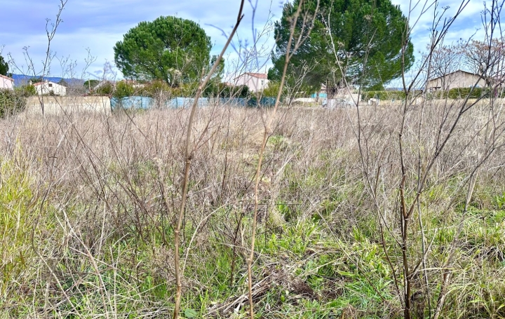 Terrain SAINT-ANDRE-DE-SANGONIS (34725) 0 m<sup>2</sup> 153 000 € 