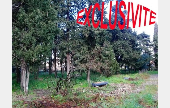Réseau Immo-diffusion : Terrain  CEYRAS   120 000 € 