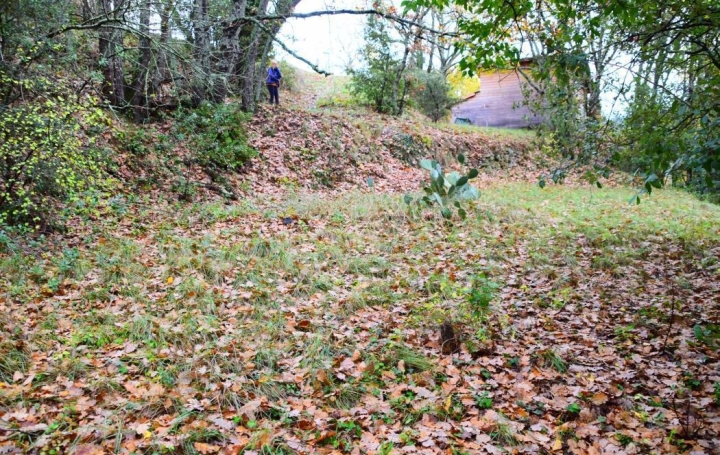 Réseau Immo-diffusion : Terrain  SALAVAS   71 000 € 