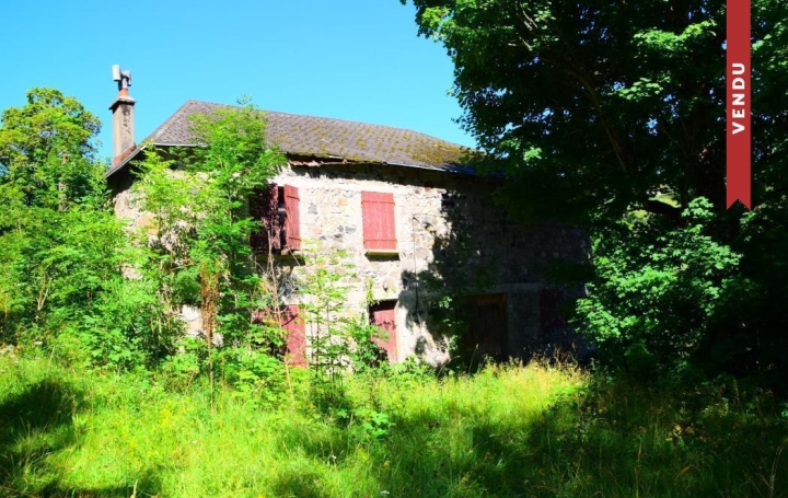 Réseau Immo-diffusion : Propriété  CROS-DE-GEORAND  240 m2 71 000 € 