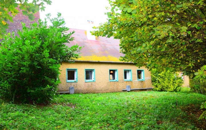 Réseau Immo-diffusion : Maison  PRESAILLES  100 m2 70 000 € 