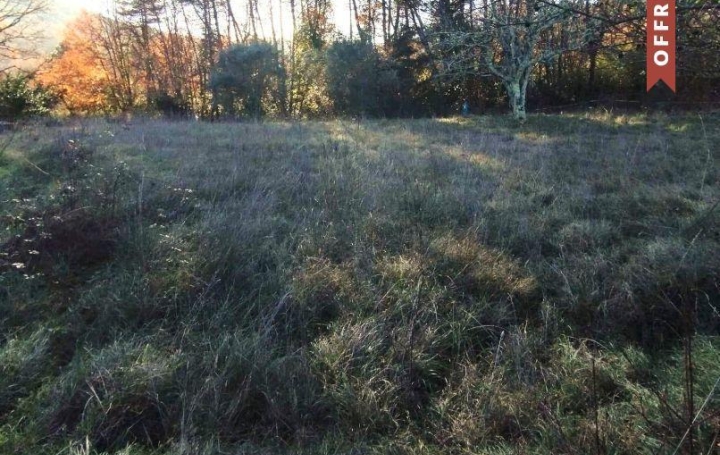 Réseau Immo-diffusion : Terrain  MERCUER   17 500 € 