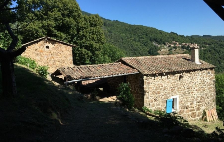 Réseau Immo-diffusion : Maison  CHIROLS  200 m2 220 000 € 