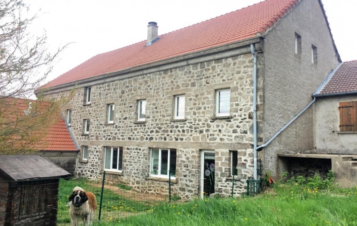 Réseau Immo-diffusion : Maison  LACHAMP-RAPHAEL  450 m2 265 000 € 