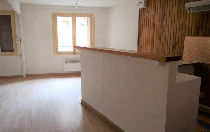 Réseau Immo-diffusion : Immeuble  ARLES-SUR-TECH  245 m2 125 000 € 