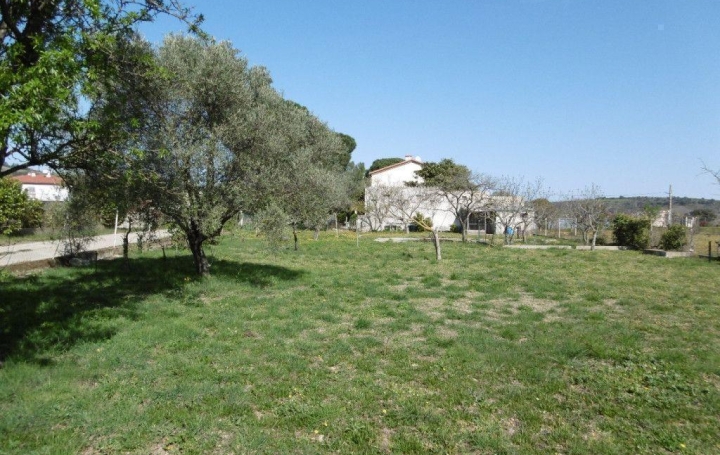 Réseau Immo-diffusion : Maison  CERET  140 m2 349 000 € 