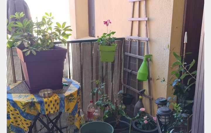 2 Pièces CERET (66400)  40 m2 109 000 € 