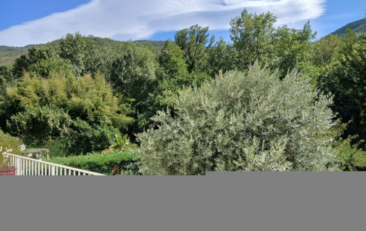 Maison ARLES-SUR-TECH (66150)  78 m2 249 000 € 