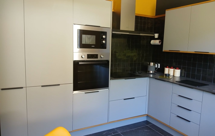 Maison ARLES-SUR-TECH (66150)  78 m2 249 000 € 