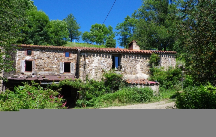 Réseau Immo-diffusion : Maison  SAINT-MARSAL  470 m2 570 000 € 