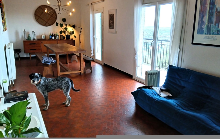 Maison LAROQUE-DES-ALBERES (66740)  140 m2 379 000 € 