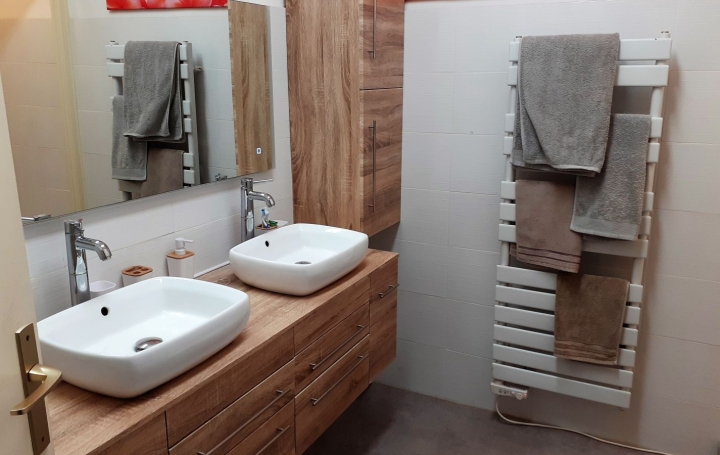 Maison ARLES-SUR-TECH (66150)  184 m2 399 000 € 