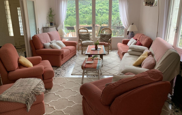 Maison ARLES-SUR-TECH (66150)  184 m2 399 000 € 