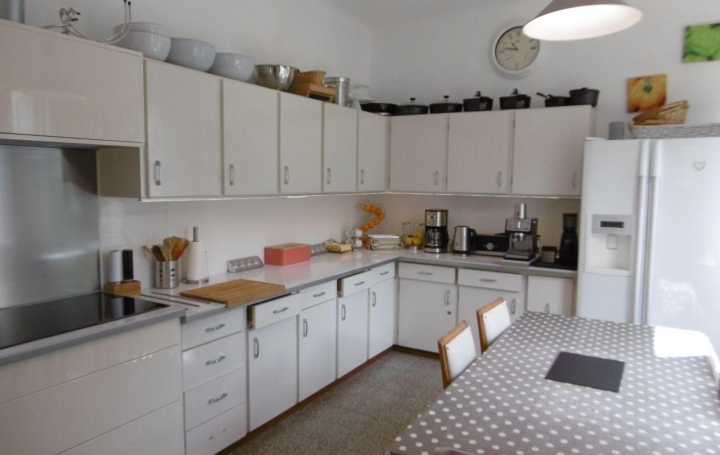 Maison ARLES-SUR-TECH (66150)  184 m2 399 000 € 